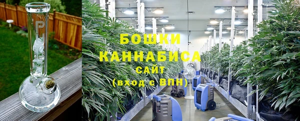 стаф Белоозёрский