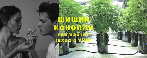 стаф Богданович