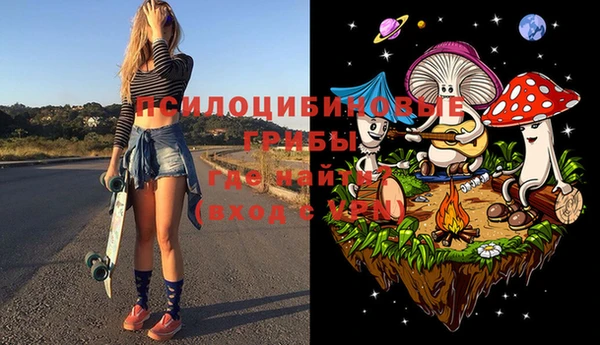 мдпв Белокуриха