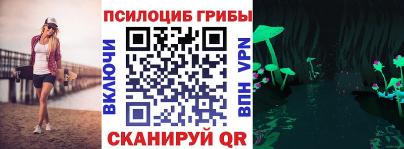 Галлюциногенные грибы Psilocybine cubensis  Вилюйск 